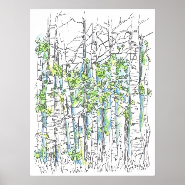 Amazon.com: Crafters Workshop TCW-252 Template, 12 by 12-Inch, Aspen Trees